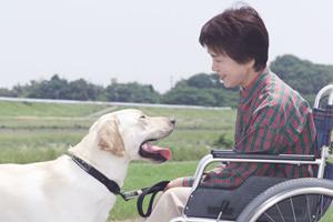 関内でのメンタルヘルスケア：信頼できる精神科医と共に心の悩みを解消する方法